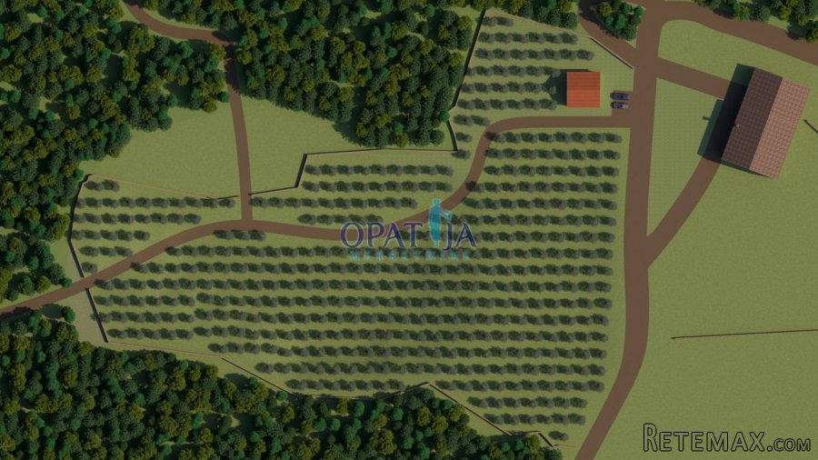 Istra, Bale zemljište 12200 m2 - 4