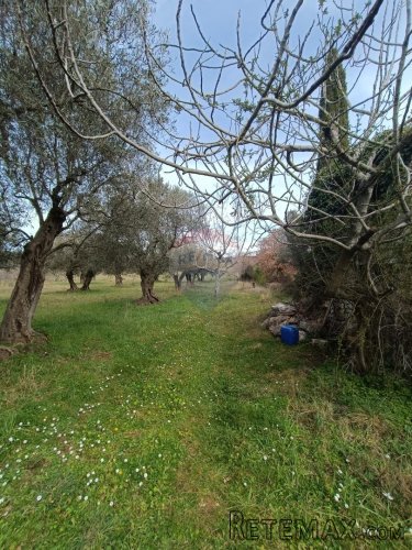 Rovinj, poljoprivredno zemljište s upisanom poljskom kućicom - 5