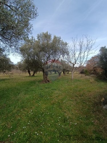 Rovinj, poljoprivredno zemljište s upisanom poljskom kućicom - 6