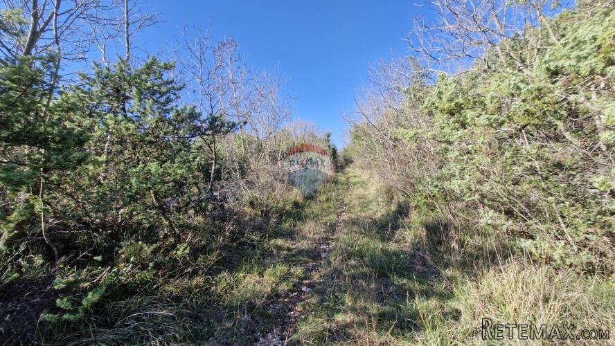 Istra, Rakalj- poljoprivredno zemljište 5523 m2