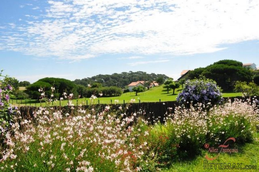 St Jean-de-Luz (64) - Stunning traditional house with a pool... - 9