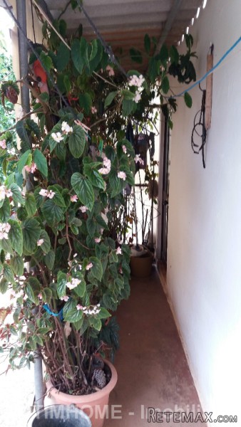 2 Bedrooms Farm For Sale - Setubal - 2