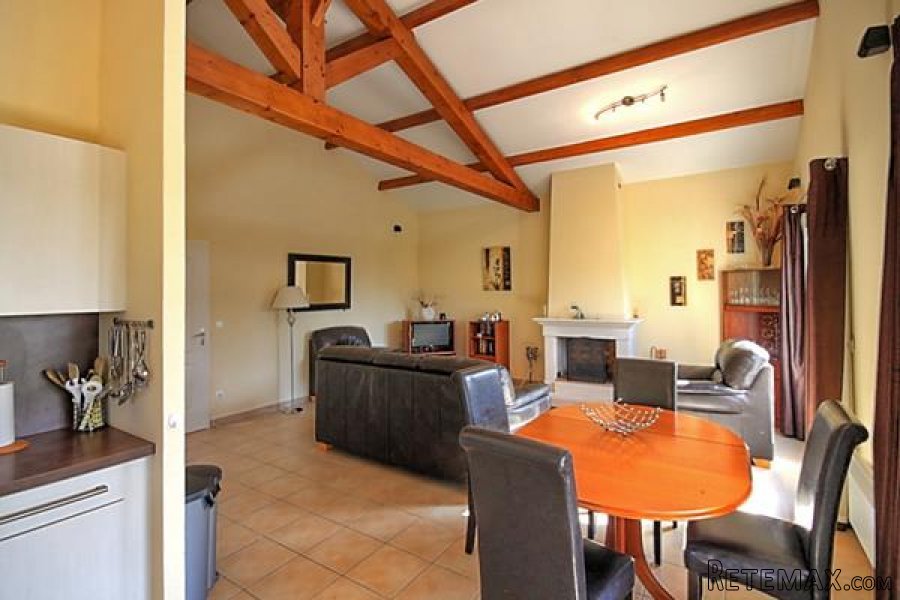 Les Forges (79) - Immaculate villa with large terraces, garden.. - 3