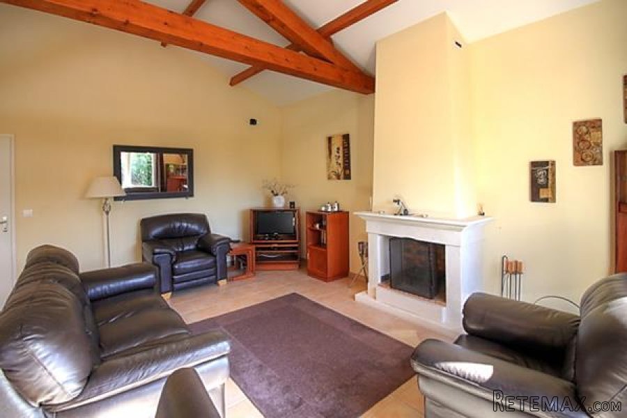 Les Forges (79) - Immaculate villa with large terraces, garden.. - 4