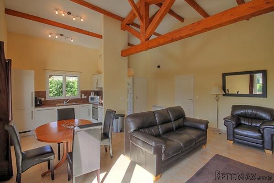 Les Forges (79) - Immaculate villa with large terraces, garden.. - 5