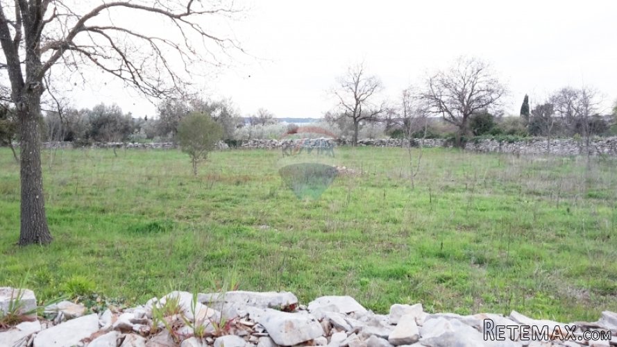 Istra, Peroj atraktivno građevinsko zemljište,650m od mora