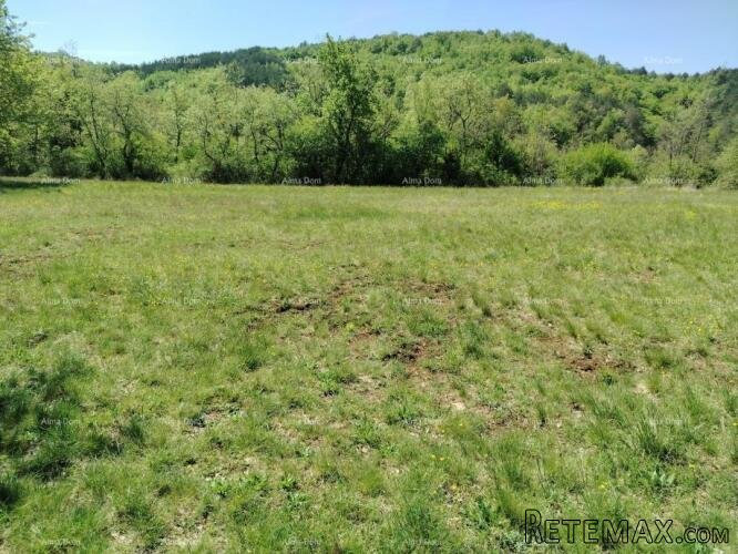 Građevinsko zemljište 3.528 m² , u blizini Grožnjana - 2