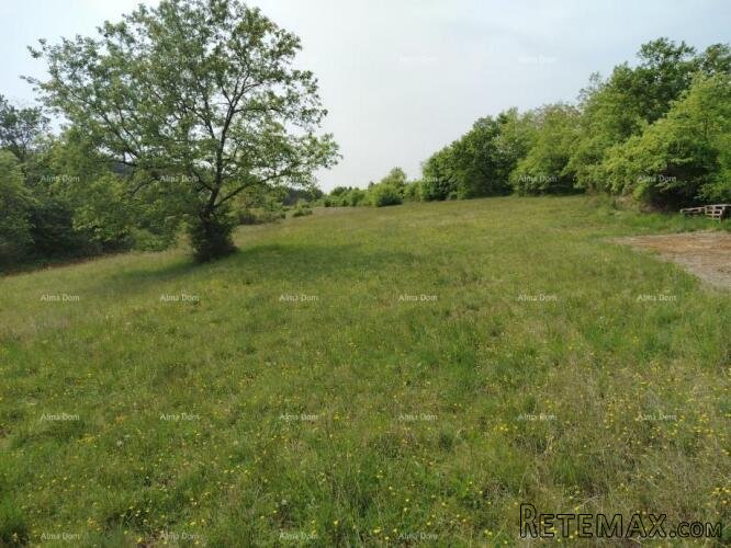 Građevinsko zemljište 3.528 m² , u blizini Grožnjana - 3