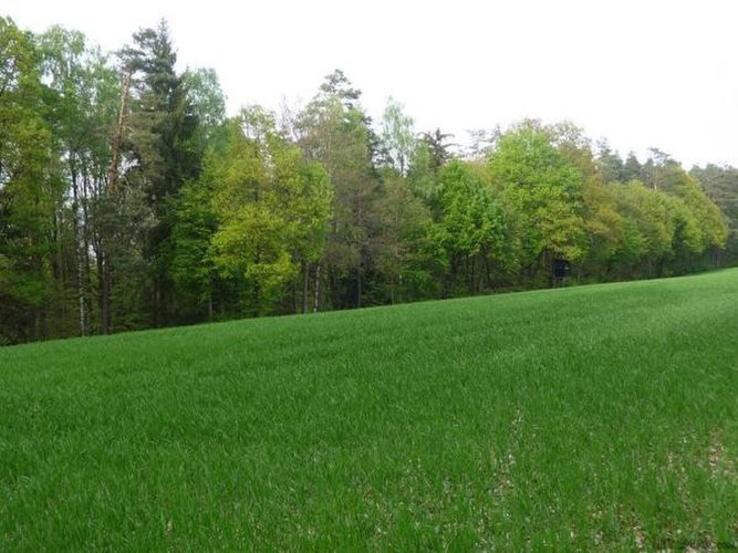 Agricultural 18230 45000 - 2