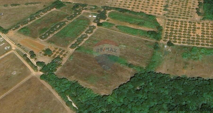 TAR-poljoprivredno zemljište 6311 m2