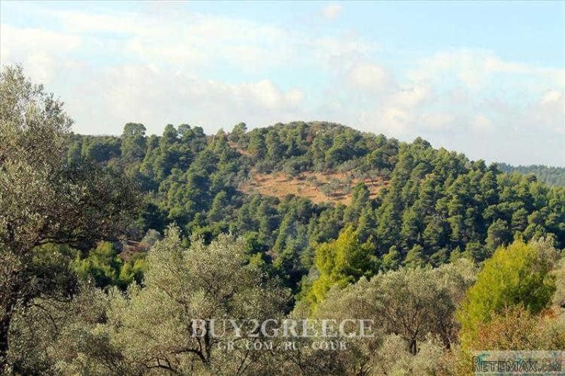 Β714 - FOR SALE LAND OF 100 ACRES - 2
