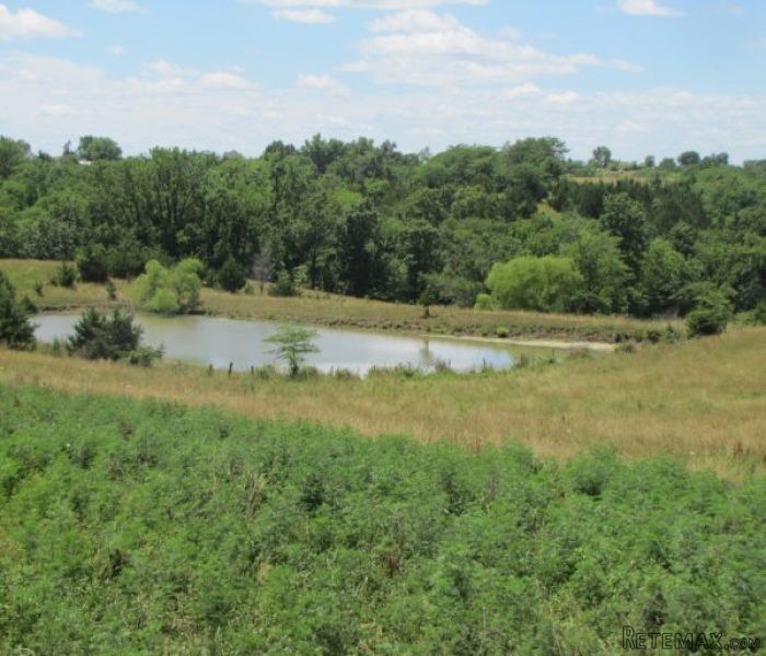 SOLD: 123 +/- Acres Grass Farm For Sale..