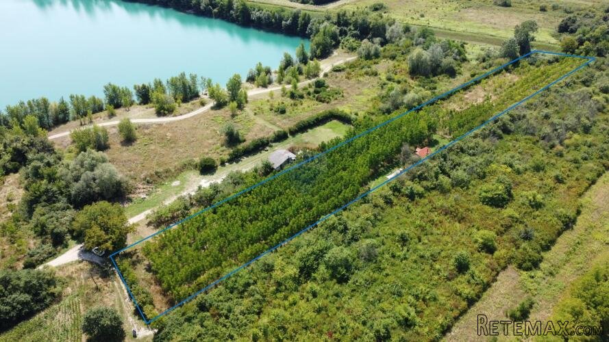 Velika Gorica, Vukovina, zemljište 8.103 m2, plantaža crnog