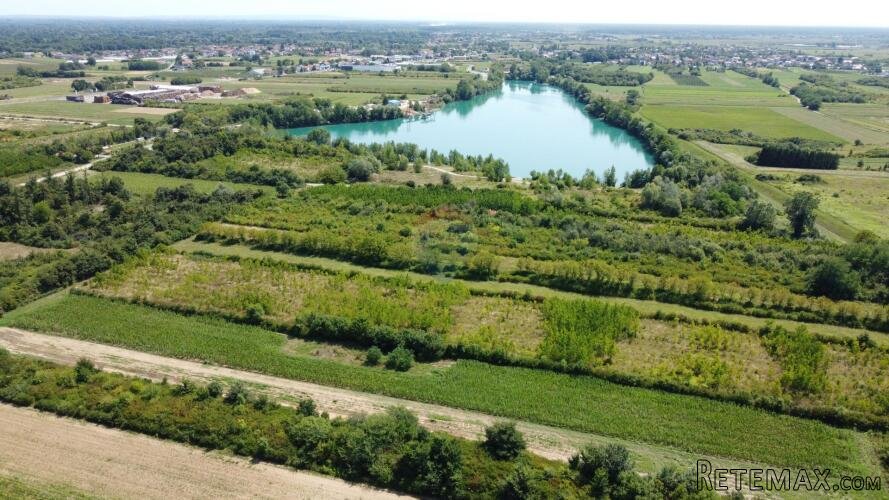 Velika Gorica, Vukovina, zemljište 13.944 m2, plantaža crnog