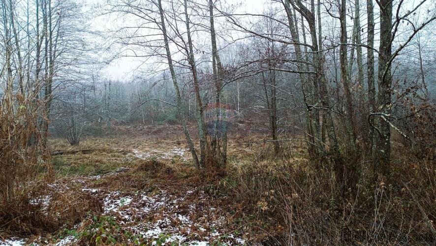 Karlovac,Skakavac-poljoprivredno zemljište 8 232 m2