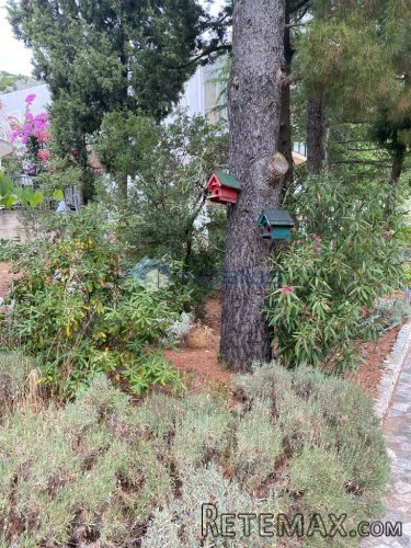 Klek, kuća s garažom 73m2 i vrtom 326m2, odlična lokacija -.. - 13
