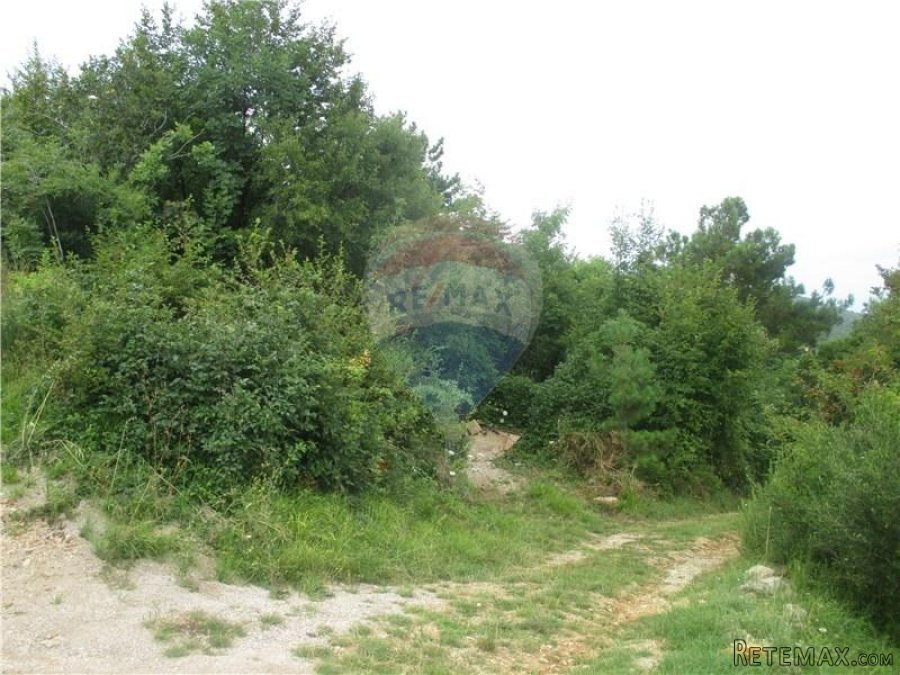 TEREN 406 m2 - POGLED - 3