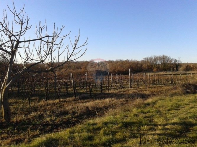 Građevinsko zemljište na mirnoj lokaciji - 2