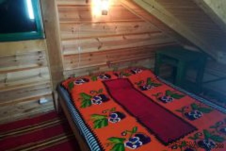 Kuca za odmor na Tari - 21