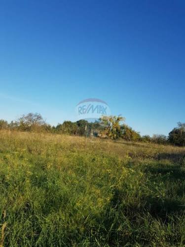 Istra, Umag okolica građevinsko zemljište sa pogledom na... - 2