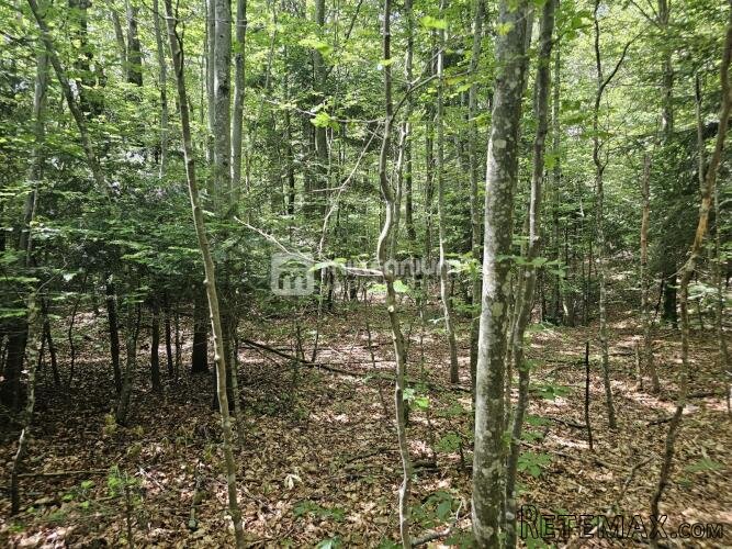 Bribir, 12.674m2, građevinsko zemljište - 3