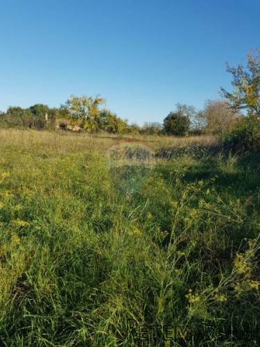 Istra, Umag okolica građevinsko zemljište sa pogledom na... - 3