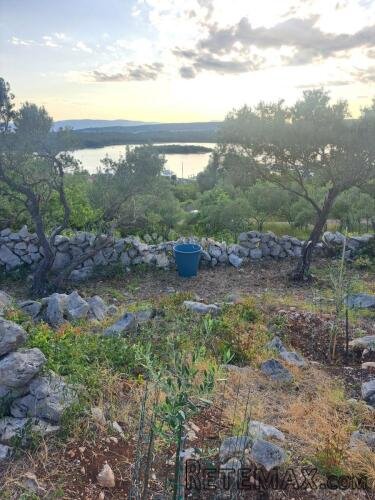 Maslinik s pogledom na more – Punat, otok Krk - 3