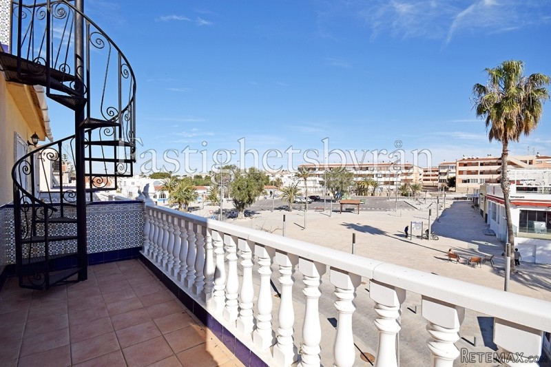 Mil Palmeras |Torrevieja - 2