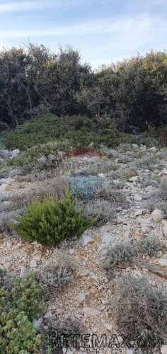 OTOK CRES - MARTINŠĆICA - GRAĐEVINSKO ZEMLJIŠTE 15.632 m2 - 2