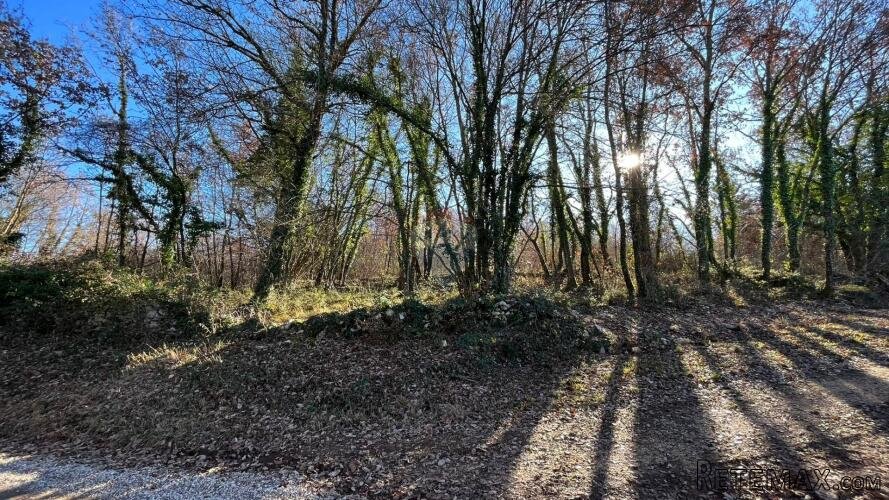 Tinjan - okolica , poljoprivredno zemljište na kraju sela
