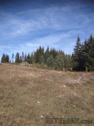 Prodajem plac u Podgori-Žabljak - 5