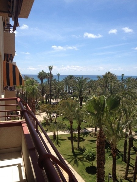 3 Bedrooms - Apartment - Alicante - For..