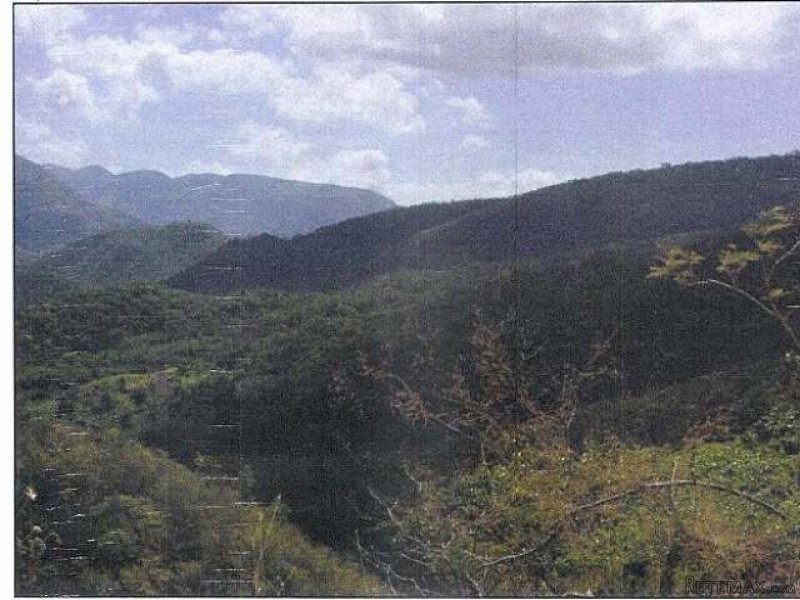 Land - Llandewey - For Sale - 2