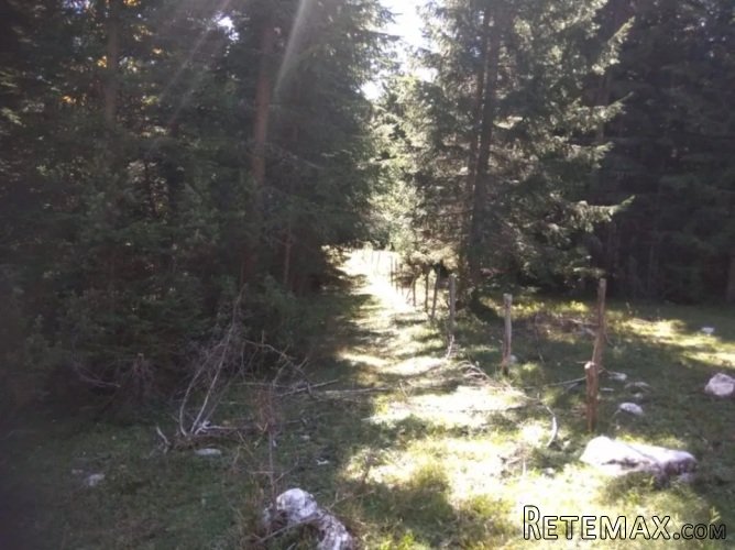 Prodajem plac u Podgori-Žabljak - 6