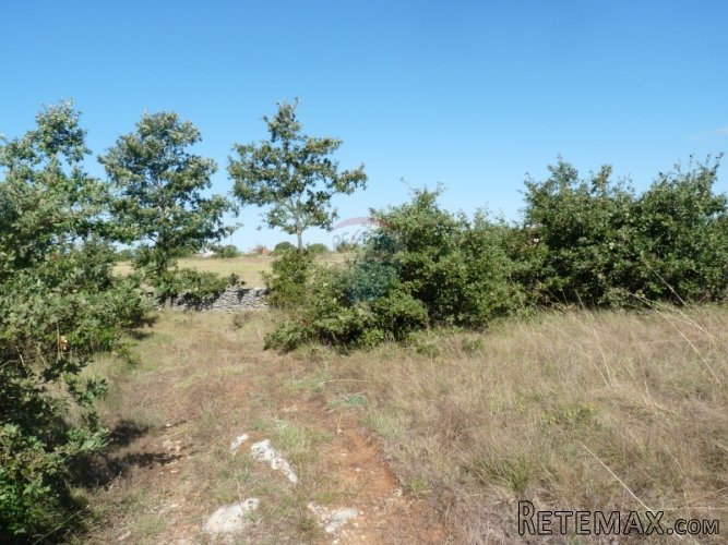 REŽANCI, kombinirano zemljište od 26007 m2 - 2
