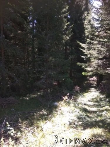 Prodajem plac u Podgori-Žabljak - 7