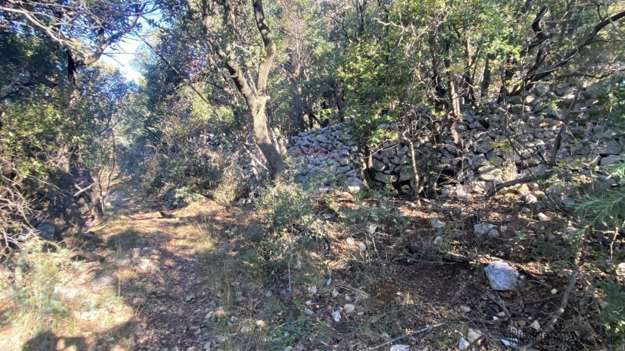 ISTRA, SKITAČA - veliko negrađevinsko zemljište od 6 ha s 5 - 10