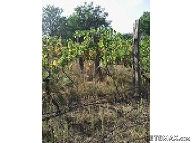 Plac Irig Fruška Gora vikend naselje