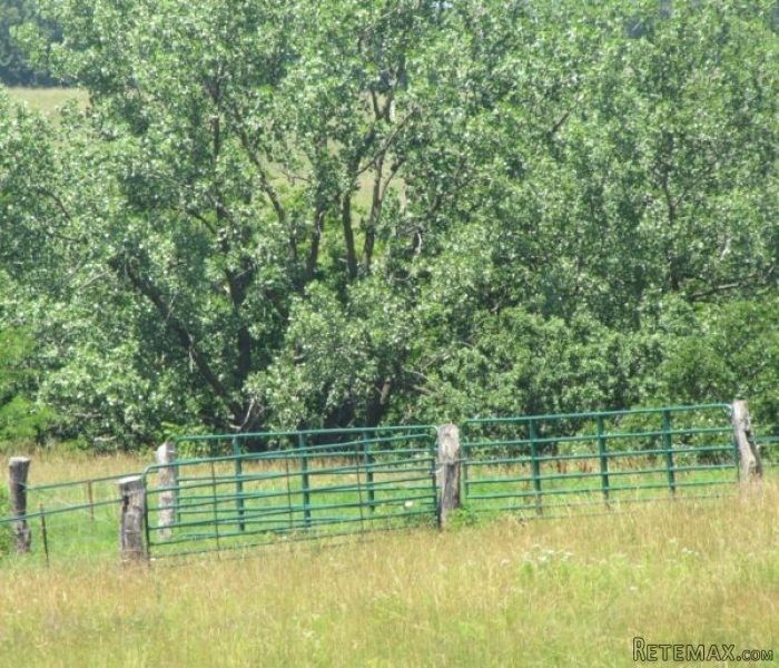 SOLD: 123 +/- Acres Grass Farm For Sale.. - 2