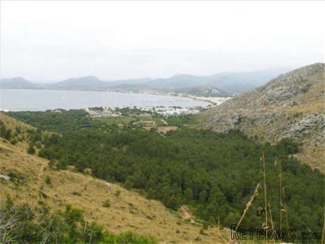 Country house located in the Port of Pollensa at the foot.. - 3