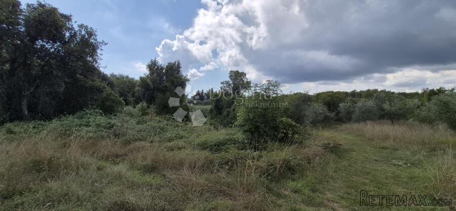 Prodaje se poljoprivredno zemljište - Kavran 1173 m2 - 3