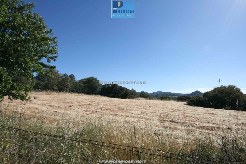 Countryland with licence in North..
