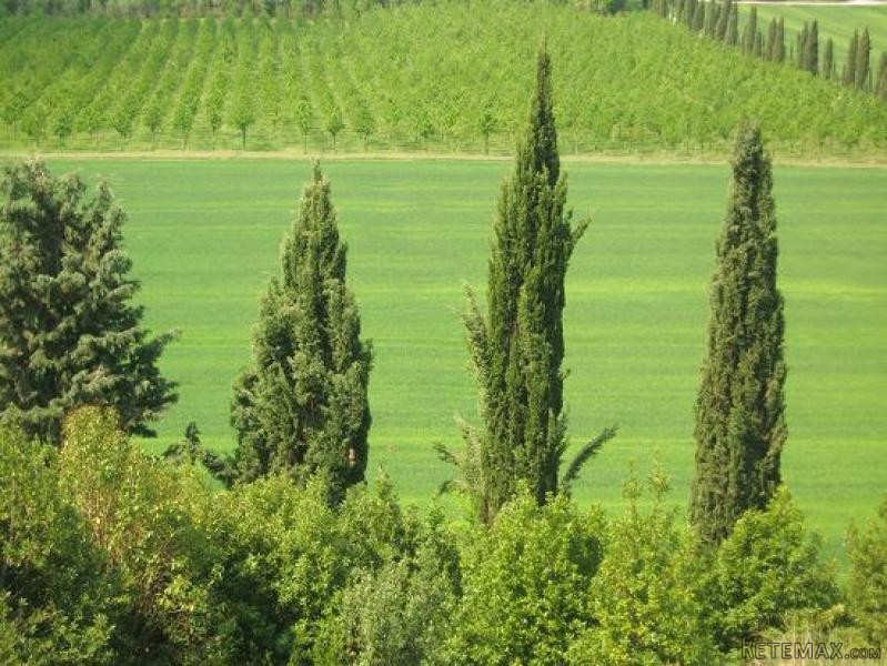 Property - Umbria - For Sale - 2