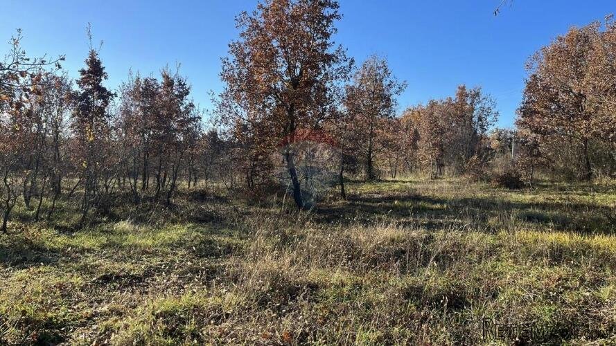 Poreč - okolica, poljoprivredno zemljište sa vodom na terenu