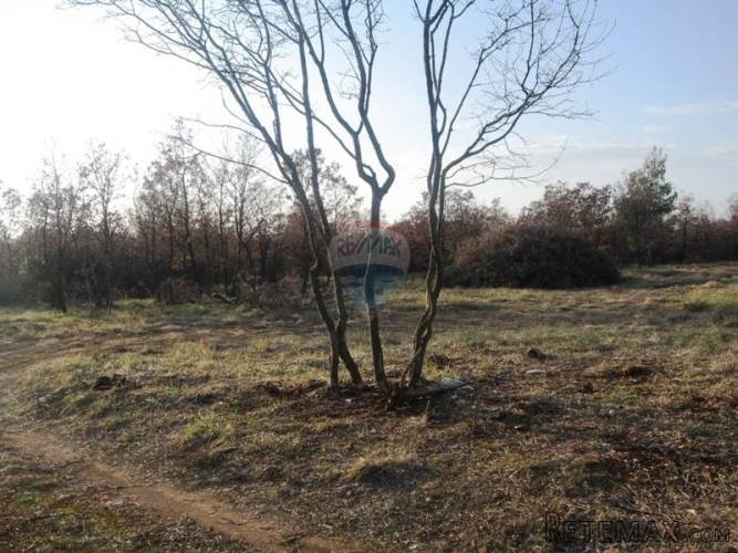 Poljoprivredno zemljište s pogledom na MORE!!! 12595 m2 - 3
