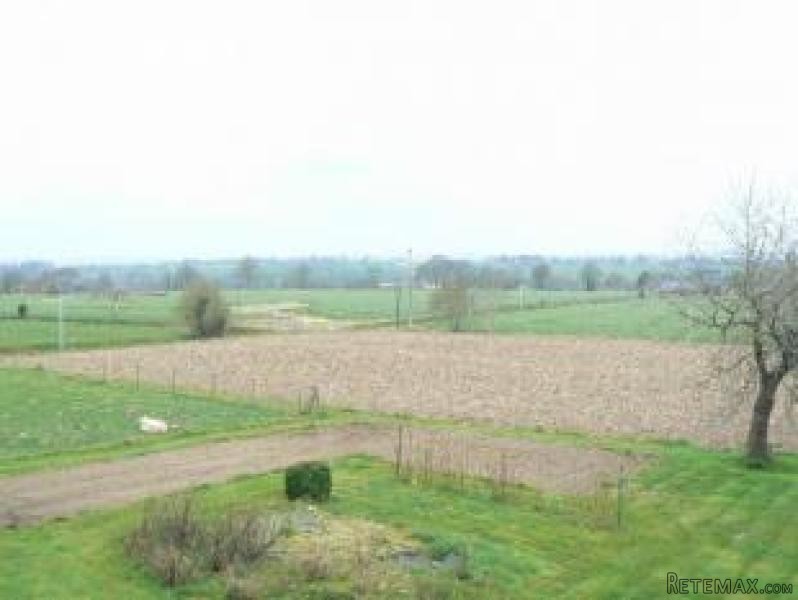 Country House with Rural Views - 2