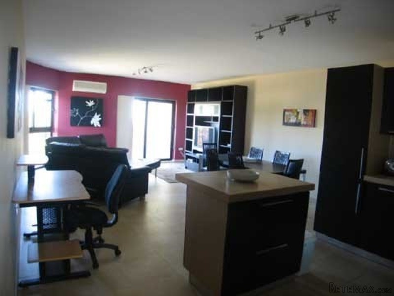 Flat, Luxurious Finish - 2