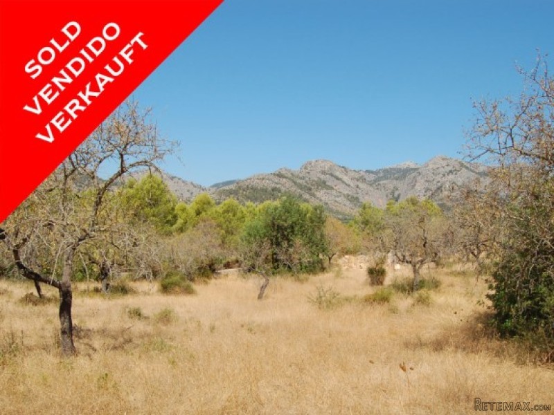 *sold* Magnificent Plot With Lovely..