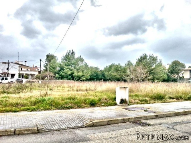 4 parcels of around 600m2 for the building of detached.. - 2