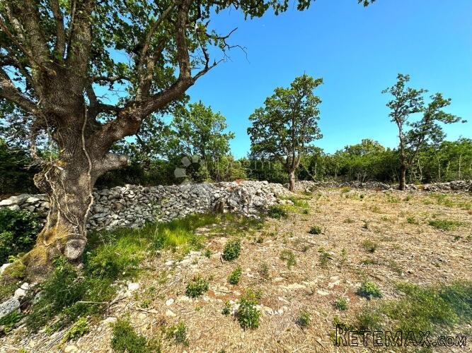 ATRAKTIVNO GRAĐEVINSKO ZEMLJIŠTE, POGLED MORE 8.600m2 ! - 2